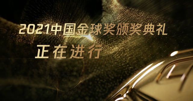 国产精品99久久99久久久看片