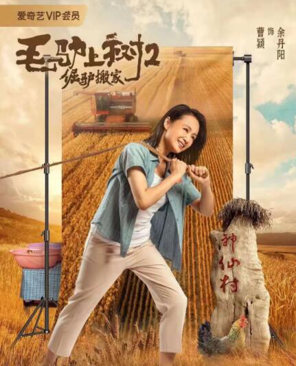 久久精品国产精品亚洲20