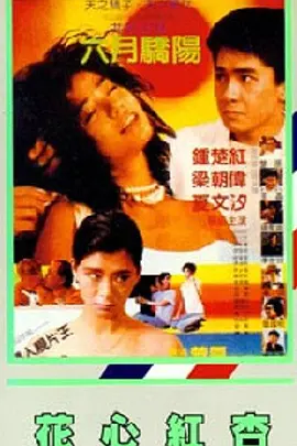 国产91 在线播放