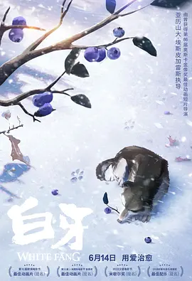 火辣福利视频