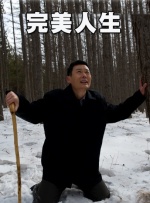 av人与动物