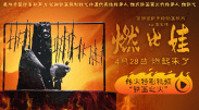 99久在线观看