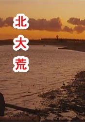 在线色av