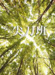 亚洲视频三级