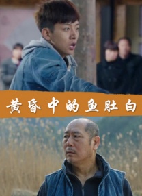 一区二区视频网