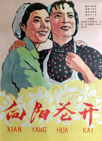 阿姨的男人