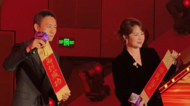 久久少妇
