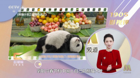麻豆国产原创最新在线视频